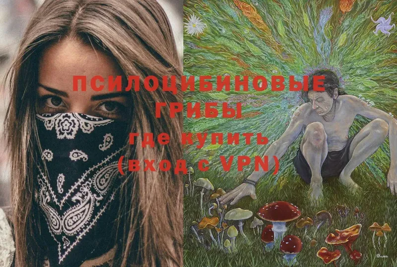 мега ССЫЛКА  купить  сайты  Светлоград  Псилоцибиновые грибы Psilocybine cubensis 